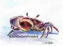 Fiddler Crab Watercolor Painting Sea life images