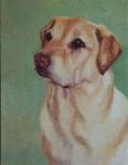 Custom Oil Painting Pet Portrait Yellow Labrador Retreiver 