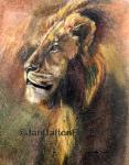 Original Oil Pastel Majestic Lion