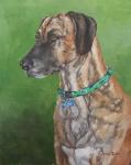 Pet Portrait Oil Painting Dog portraits