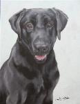 Custom Oil Painting Pet Portrait Black Labrador