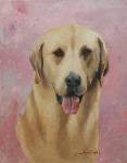 Yellow Lab Oil Painting Pet Portrait Dog Arftist Jan Dalton