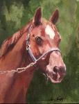 Acrylic Horse Painting on Canvas 