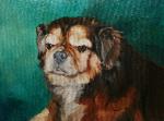 Custom Oil Painting Pet Portrait Pekingese Dog