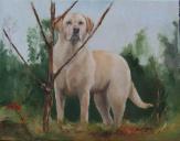 Custom Oil Painting Pet Portrait Labrador Retriever